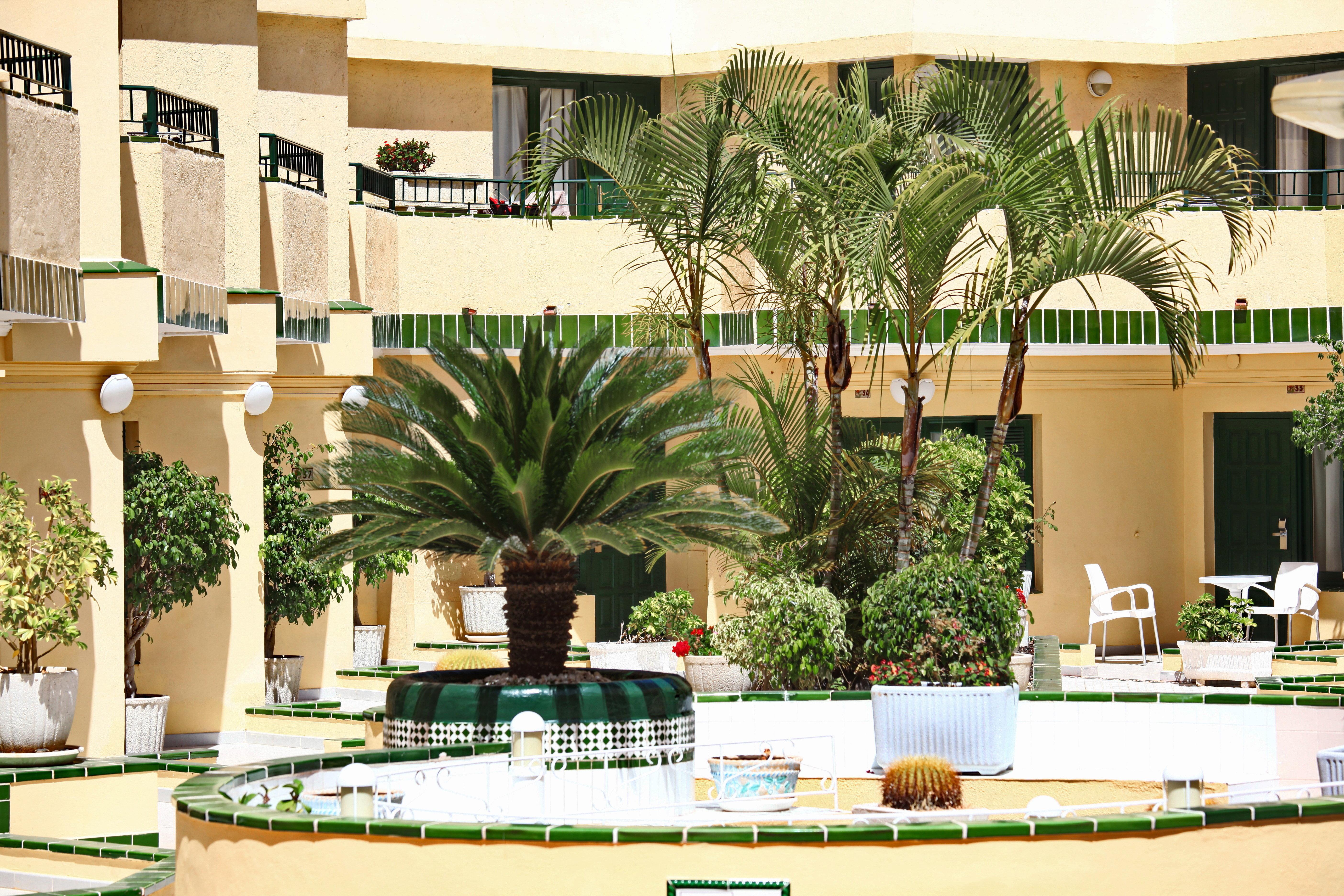 Alegria Barranco Aparthotel ปลายาเดลาสอเมริกาส ภายนอก รูปภาพ