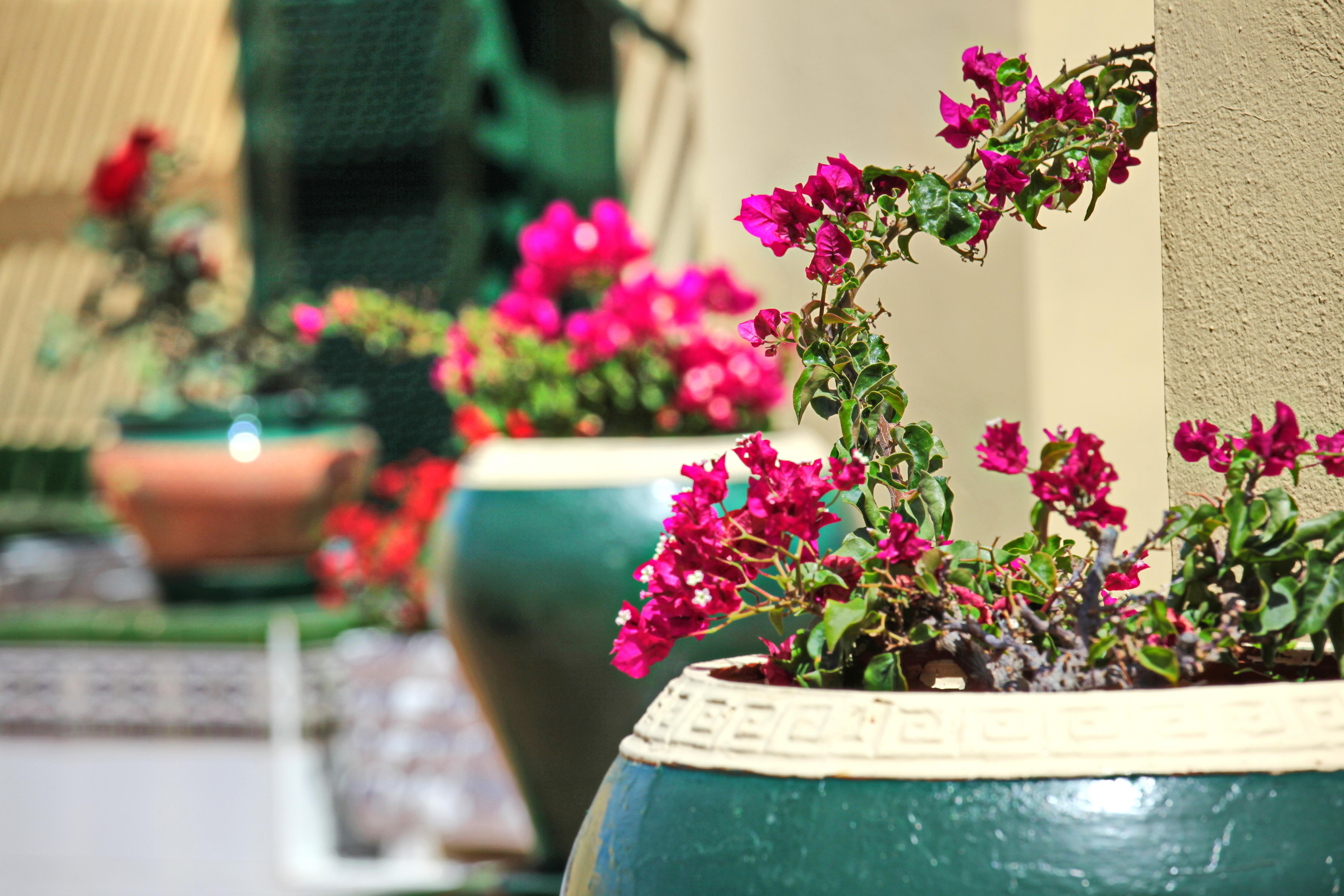 Alegria Barranco Aparthotel ปลายาเดลาสอเมริกาส ภายนอก รูปภาพ